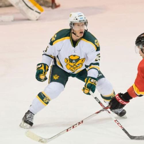Ice hockey player in white and green uniform prepares to block opponent.